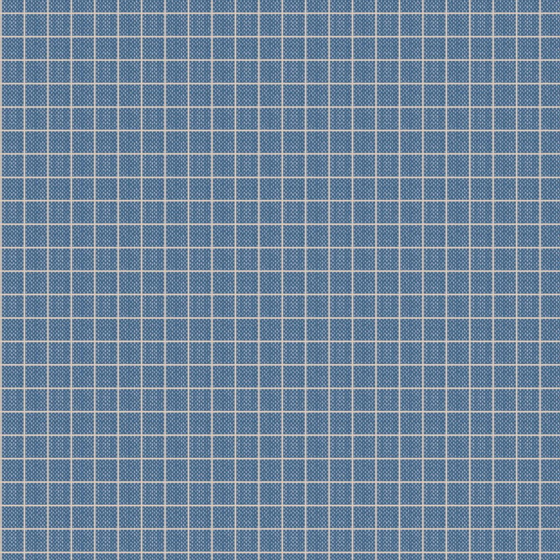 Blue Plaid Woven