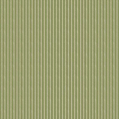 Woven Tan Stripe on Green