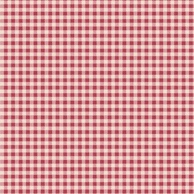 Woven Red & White Gingham