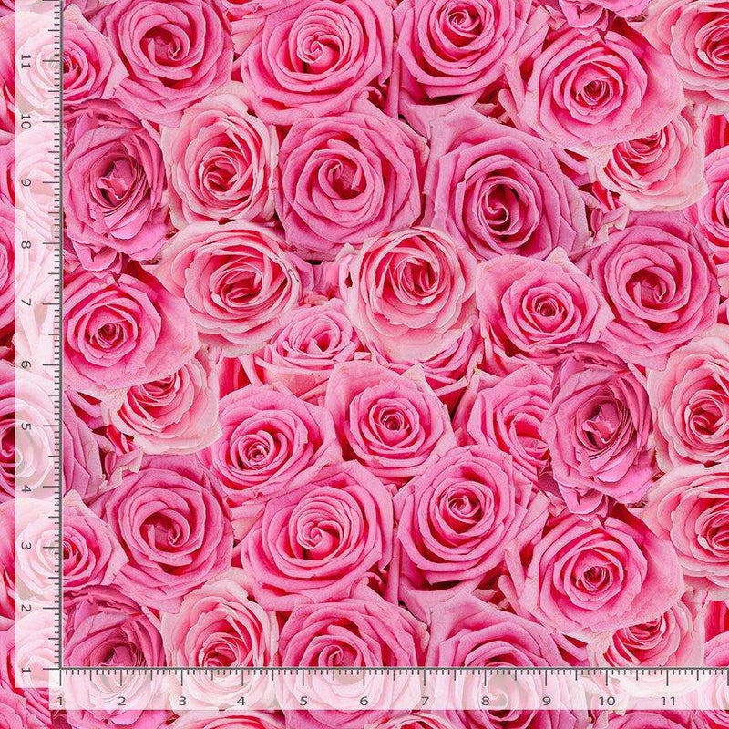 Pink Clustered Roses Packed