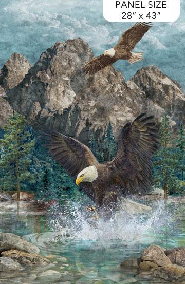 Panel: Eagle Pass 28 x 43"