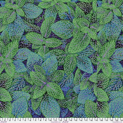 Fittonia Green Purple & Blue w hint of Black