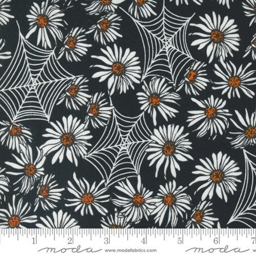 Orange White Daisies with Spider Webs on Black