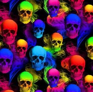 Multi Colored Skulls on Black